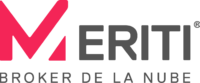 MERITI logo new (1)